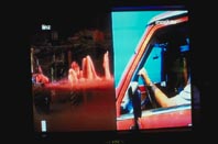 autonymph.JPG - 11919 Bytes