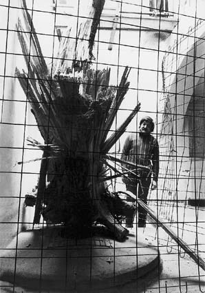 s196.JPG - 40631 Bytes