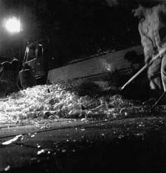 s229unten.JPG - 15866 Bytes