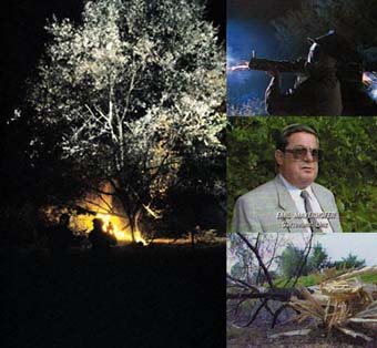 25.jpg - 31597 Bytes