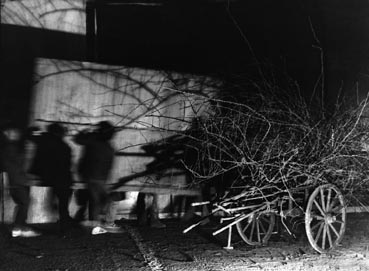 s207.JPG - 26486 Bytes