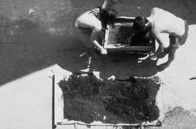 s172unt.JPG - 13346 Bytes