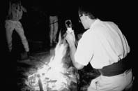 s225unten.JPG - 8033 Bytes