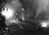 s203.JPG - 8336 Bytes